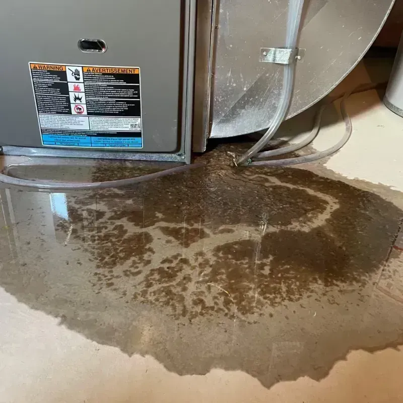 Appliance Leak Cleanup in Moniteau County, MO